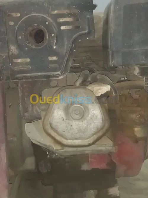 ڨروب اسودي+جرار فلاحي صغير 