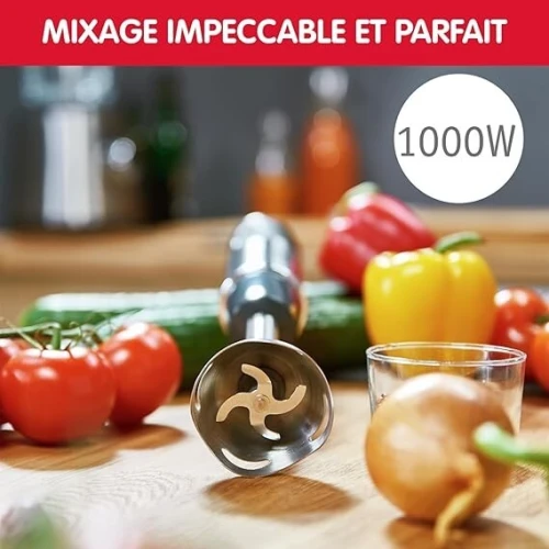 Bras Mixeur Plongeant Moulinex QuickChef 4 En 1 - 1000W et 10 Vitesses avec Hachoir et Presse Purée