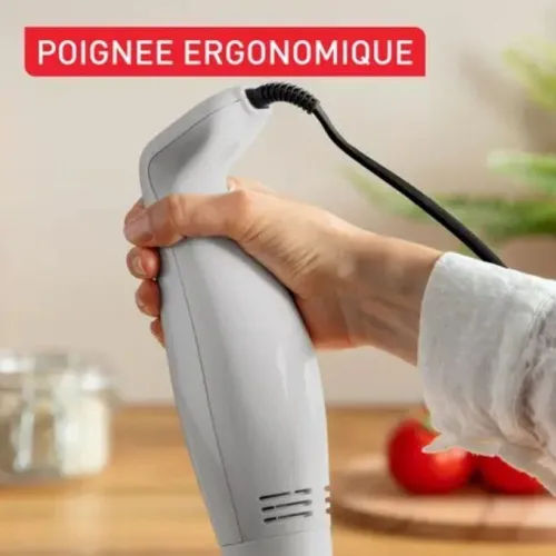 Bras Mixeur Plongeant Plastique 350W Tefal - خلاط يدوي كهربائي