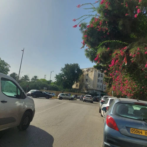 Location Appartement F3 Alger Said hamdine