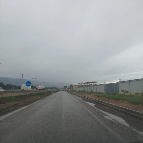 Vente Terrain Alger Tessala el merdja
