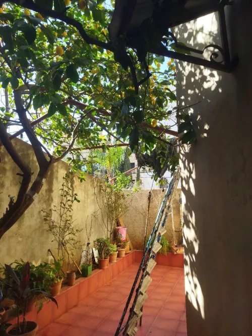 Vente Villa Alger Baba hassen
