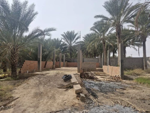 Vente Terrain Agricole Ouled Djellal Sidi Khaled