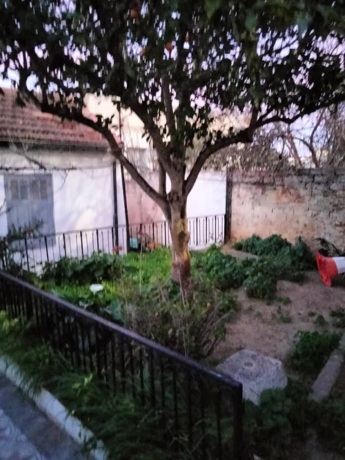 Vente Villa Alger El biar