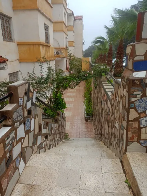 Vente Appartement F3 Tipaza Douaouda