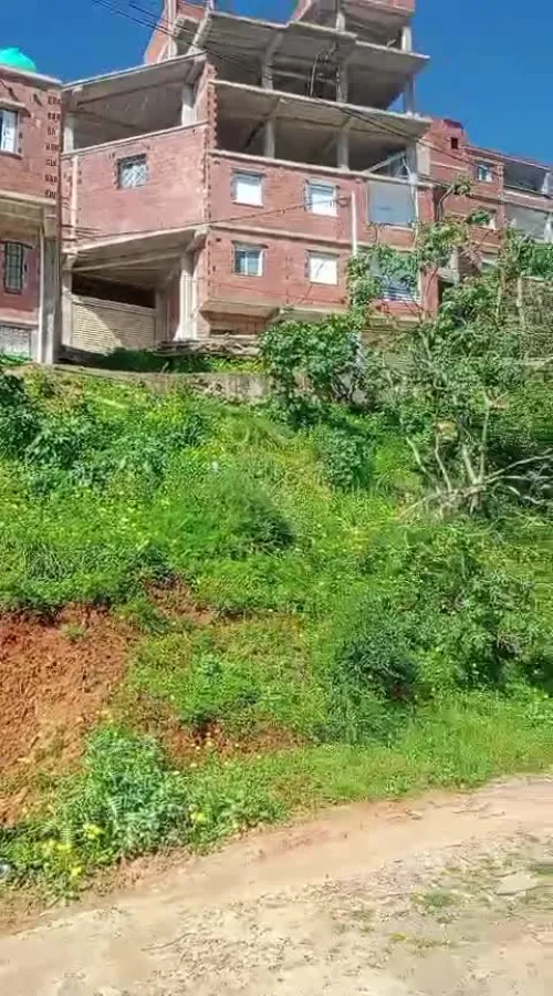Vente Terrain Alger Douera