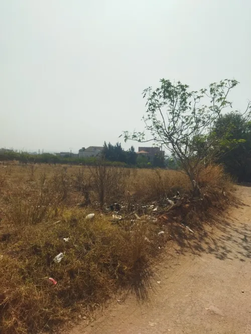 Vente Terrain Alger Douera