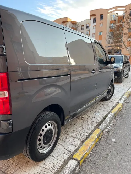 Fiat Scodo 2023 Skodo