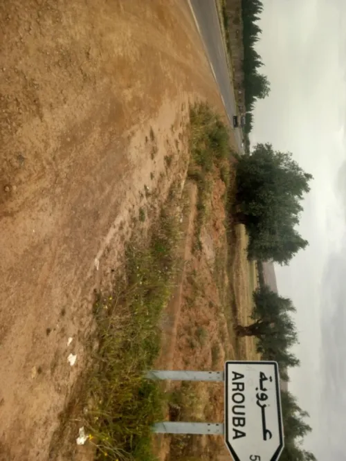 Vente Terrain Agricole Mascara El keurt