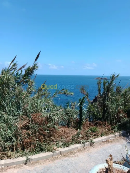 Cherche achat Alger El marsa 3