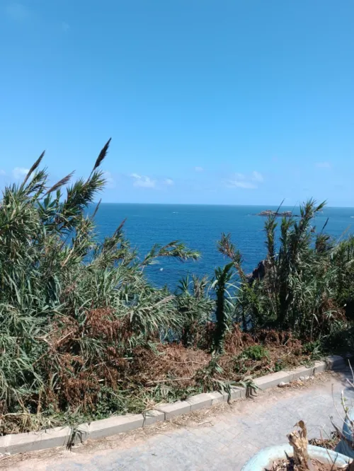 Vente Appartement F4 Alger El marsa