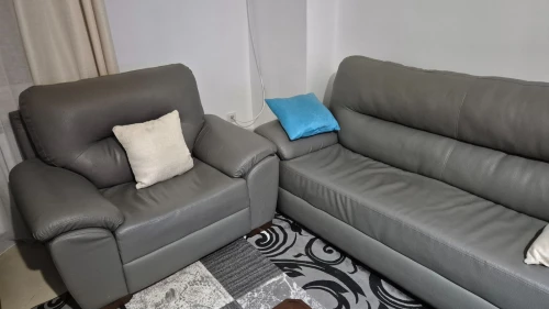 Salon (Fauteuils) doccasion