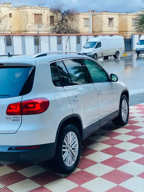 Volkswagen Tiguan 2015 Cup