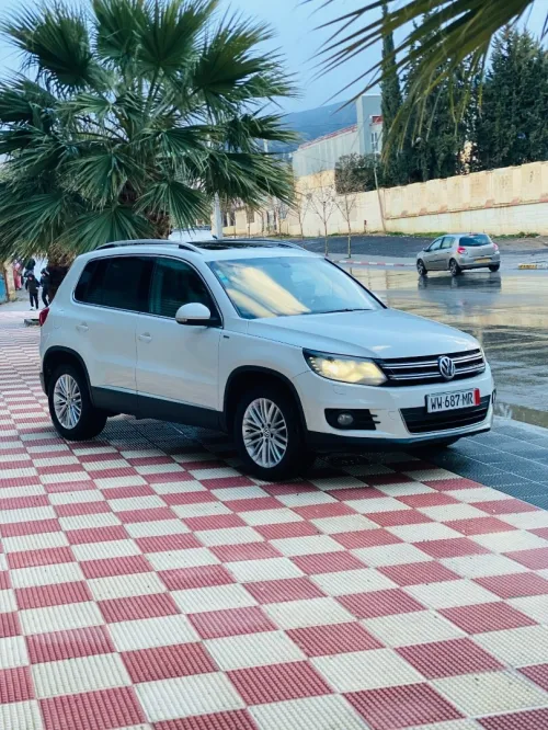 Volkswagen Tiguan 2015 Cup