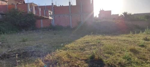 Vente Terrain Blida Bouinan