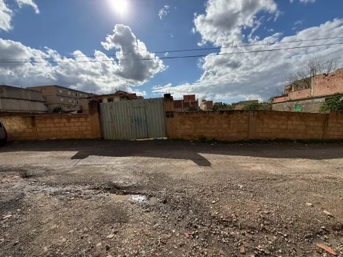 Vente Terrain Blida Bouinan