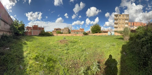 Vente Terrain Blida Bouinan