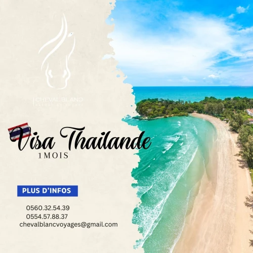 visa disponible