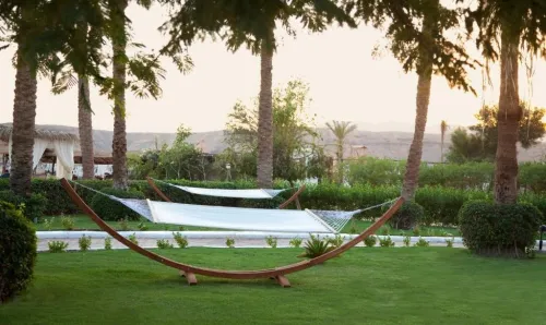PROMO SHARM EL SHEIKH LE CAIRE COMBINE Mars / رحلة شرم الشيخ و القاهرة  مارس