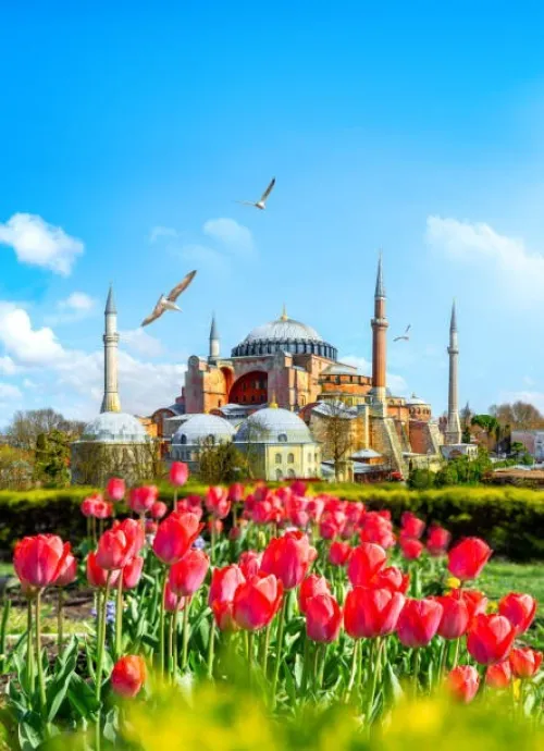 Voyage organisé ISTANBUL-septembre 