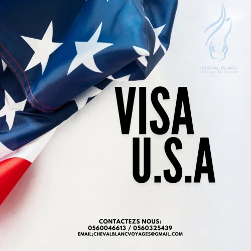 VISA USA