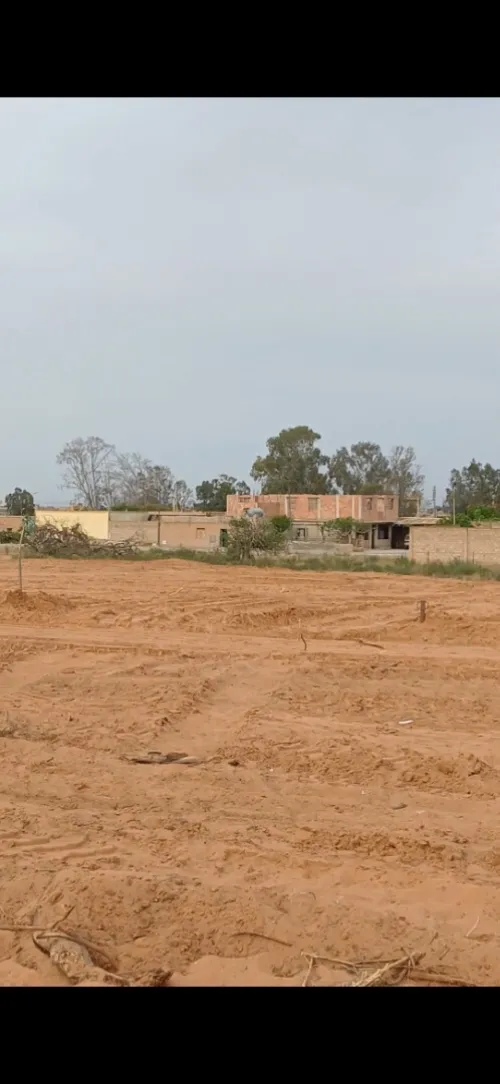 Vente Terrain Mostaganem Sirat
