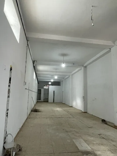 Location Local Appartement F3 Blida Mouzaia