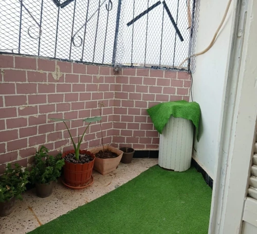 Vente Appartement F3 Blida Mouzaia