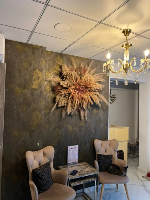 vente matériel esthétique et coiffure profesionnelle