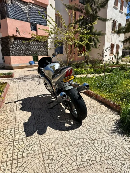 Suzuki Sv1000s américain 2000