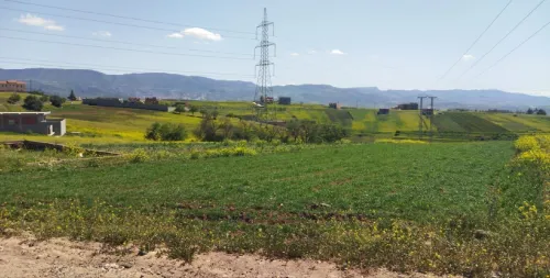 Vente Terrain Tlemcen Dar yaghmouracene