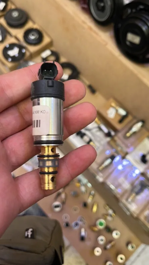 Electrovan compresseur clim