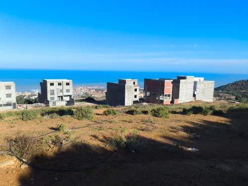 Vente Terrain Tipaza Cherchell
