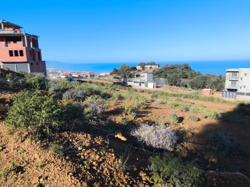 Vente Terrain Tipaza Cherchell
