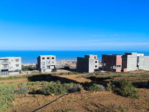 Vente Terrain Tipaza Cherchell