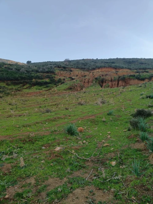 Vente Terrain Boumerdès Larbatache