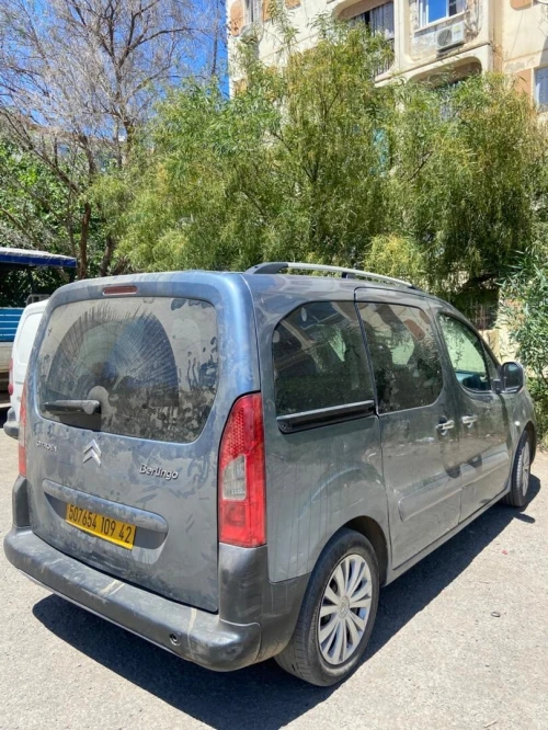 Citroen Berlingo 2009 Berlingo