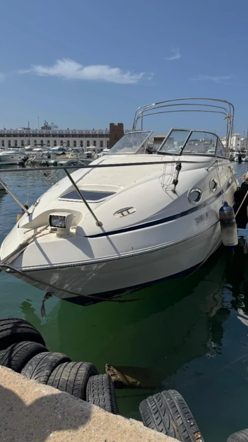 Bateau - Regal 2465 - Opportunité à saisir