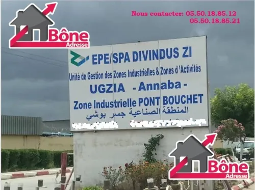 Location Hangar Annaba Annaba