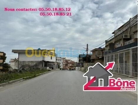Location Appartement F3 Annaba Annaba