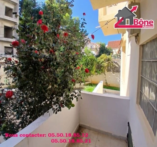 Location Villa Annaba Annaba
