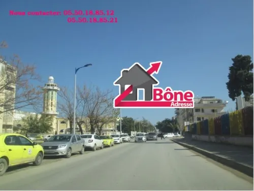Vente Appartement F4 Annaba Annaba