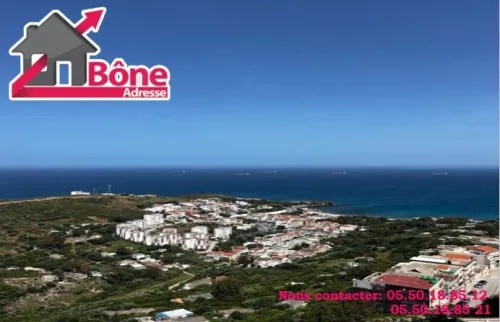 Vente Appartement F4 Annaba Annaba