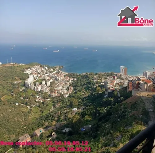 Location Appartement F3 Annaba Annaba