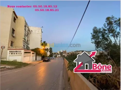 Vente Appartement Annaba Annaba