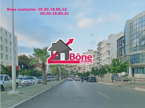Location Appartement Niveau de villa Studio Annaba Annaba