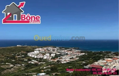 Location Appartement F4 Annaba Annaba