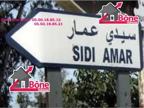 Location Hangar - Usine Annaba Sidi amar