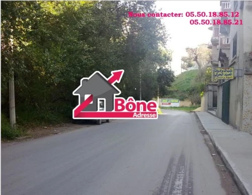 Location Appartement Niveau de villa F3 Annaba Annaba