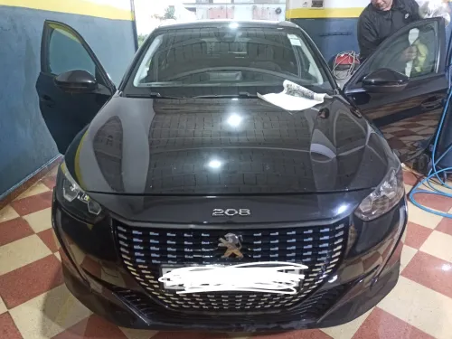 Peugeot 208 2022 Activ